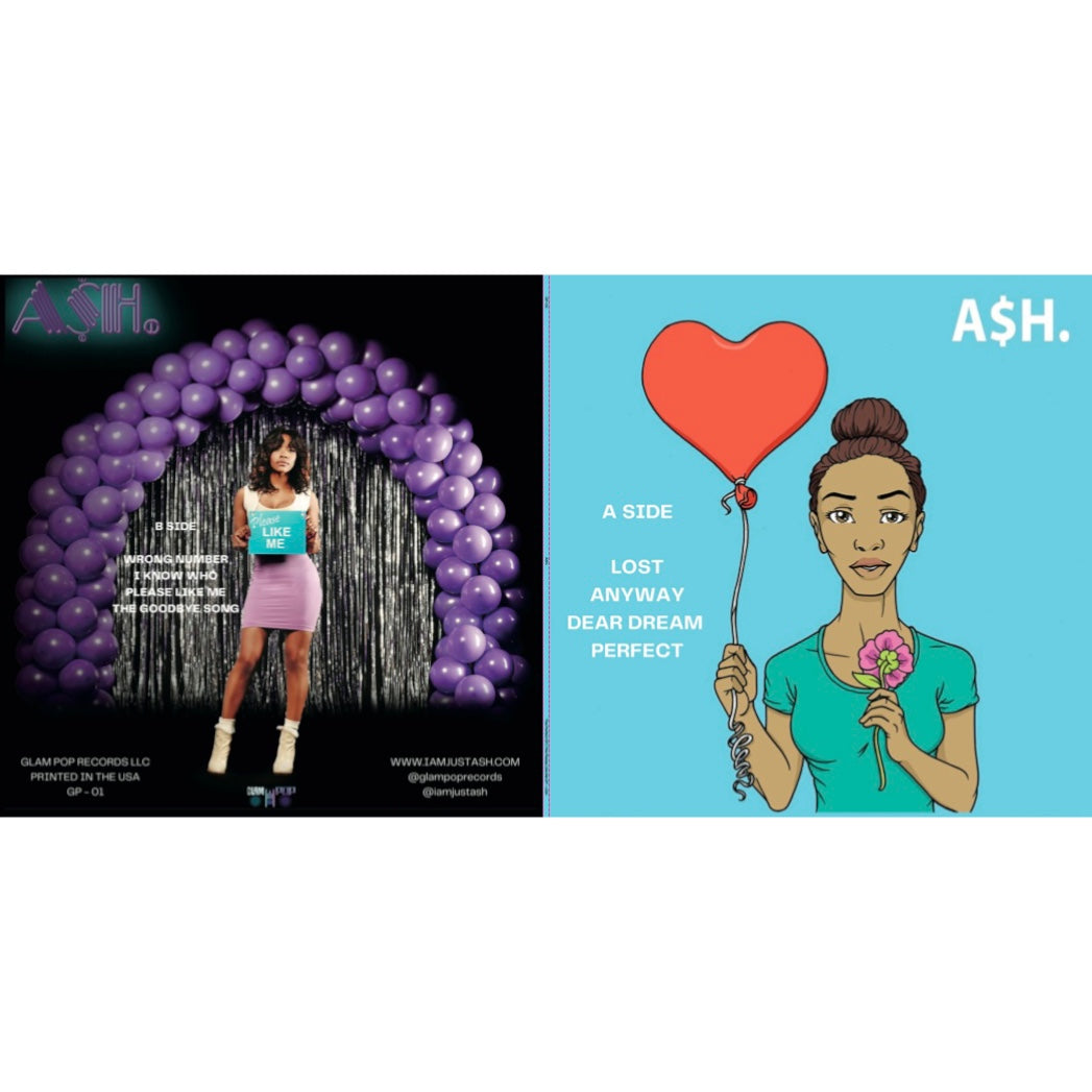 The Perfect Vinyl by A$H.
